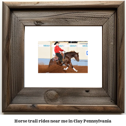 horse trail rides near me in Clay, Pennsylvania